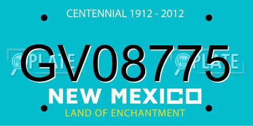 GV08775 New Mexico License Plate