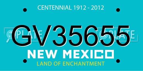 GV35655 New Mexico License Plate