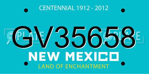 GV35658 New Mexico License Plate