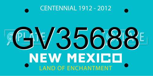 GV35688 New Mexico License Plate