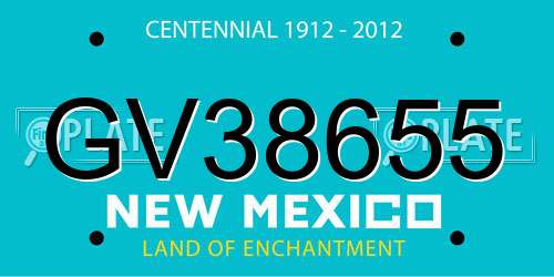 GV38655 New Mexico License Plate
