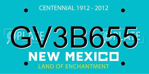 GV3B655 New Mexico License Plate