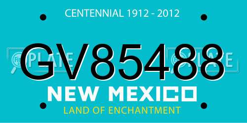 GV85488 New Mexico License Plate
