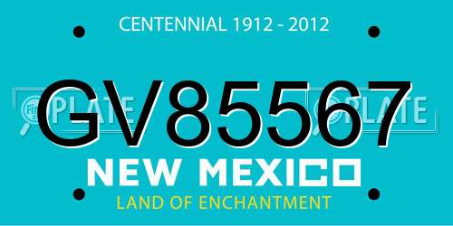 GV85567 New Mexico License Plate
