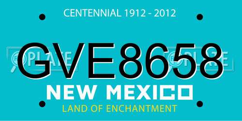 GVE8658 New Mexico License Plate