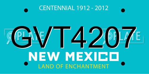 GVT4207 New Mexico License Plate