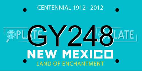 GY248 New Mexico License Plate