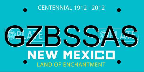 GZBSSAS New Mexico License Plate