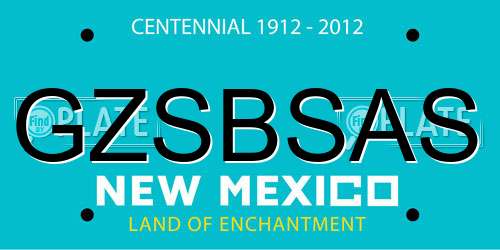 GZSBSAS New Mexico License Plate