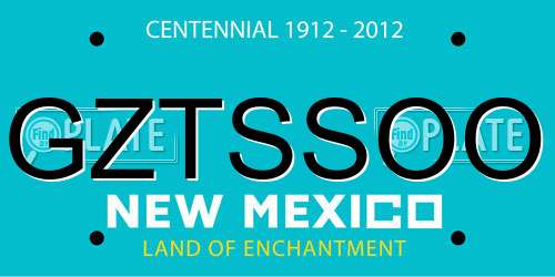GZTSSOO New Mexico License Plate