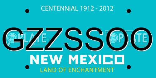 GZZSSOO New Mexico License Plate