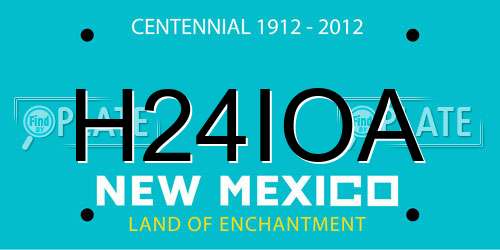 H24IOA New Mexico License Plate