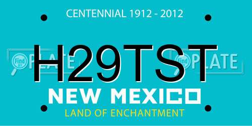 H29TST New Mexico License Plate