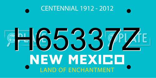 H65337Z New Mexico License Plate