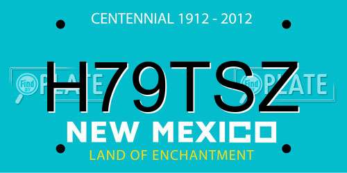 H79TSZ New Mexico License Plate