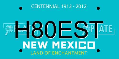 H80EST New Mexico License Plate