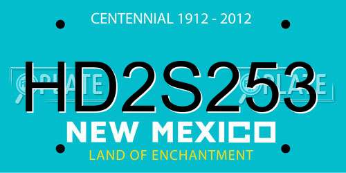 HD2S253 New Mexico License Plate