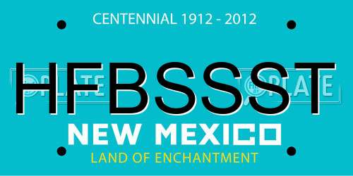 HFBSSST New Mexico License Plate