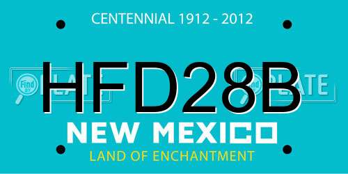HFD28B New Mexico License Plate