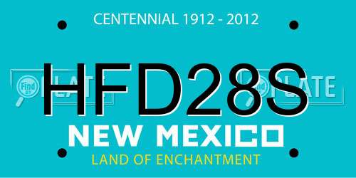 HFD28S New Mexico License Plate