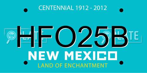 HFO25B New Mexico License Plate