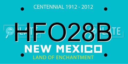 HFO28B New Mexico License Plate