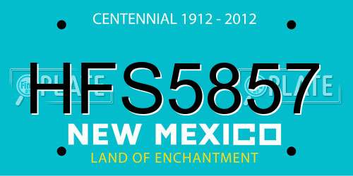 HFS5857 New Mexico License Plate