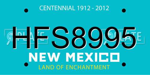 HFS8995 New Mexico License Plate