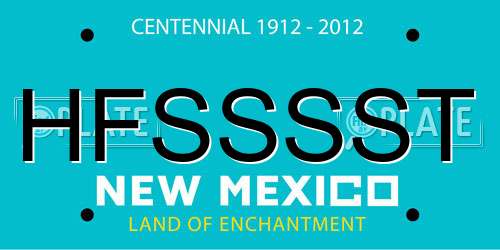 HFSSSST New Mexico License Plate