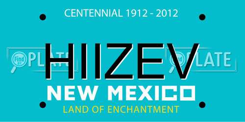 HIIZEV New Mexico License Plate