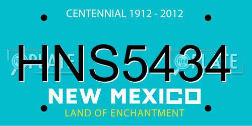 HNS5434 New Mexico License Plate