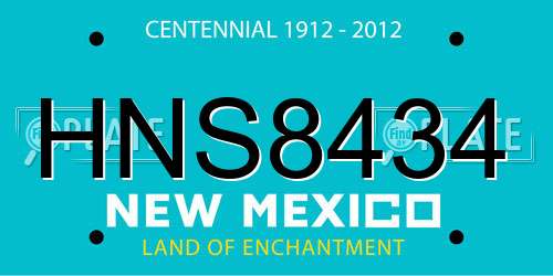 HNS8434 New Mexico License Plate