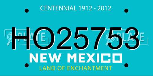 HO25753 New Mexico License Plate