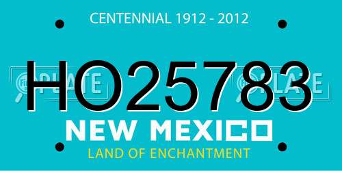HO25783 New Mexico License Plate