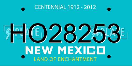 HO28253 New Mexico License Plate
