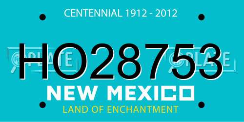 HO28753 New Mexico License Plate