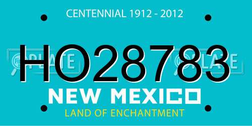 HO28783 New Mexico License Plate