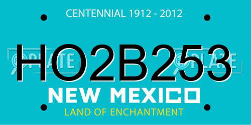 HO2B253 New Mexico License Plate
