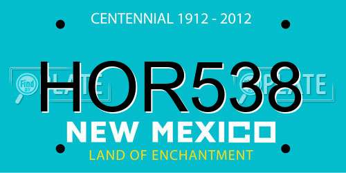 HOR538 New Mexico License Plate