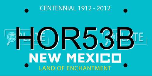 HOR53B New Mexico License Plate