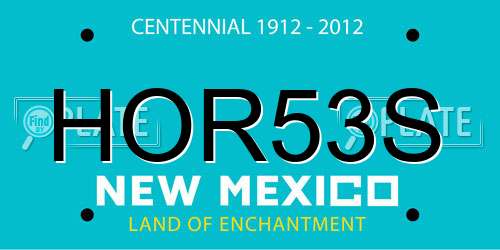 HOR53S New Mexico License Plate
