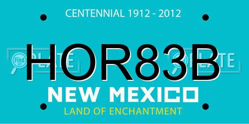 HOR83B New Mexico License Plate