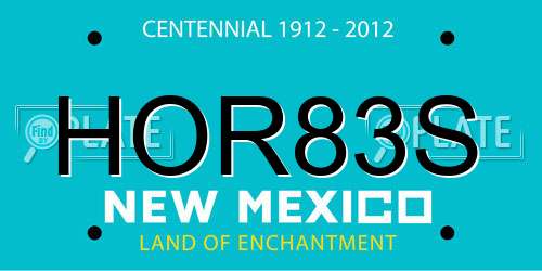 HOR83S New Mexico License Plate