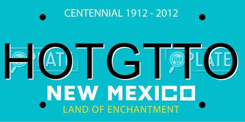 HOTGTTO New Mexico License Plate
