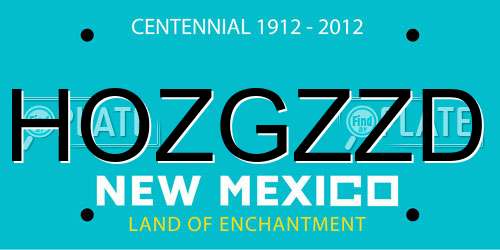 HOZGZZD New Mexico License Plate