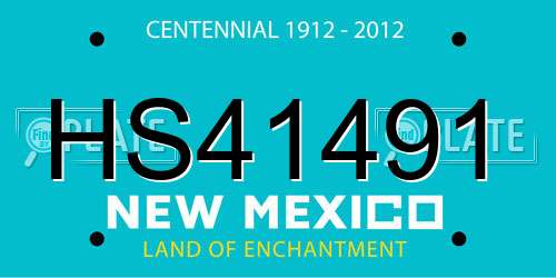 HS41491 New Mexico License Plate