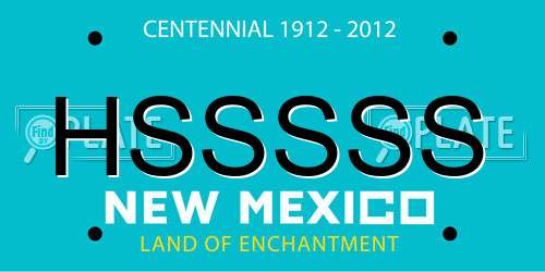 HSSSSS New Mexico License Plate