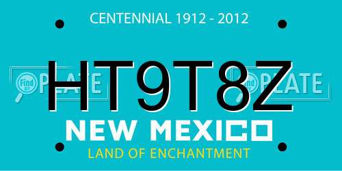 HT9T8Z New Mexico License Plate