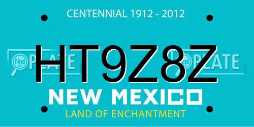 HT9Z8Z New Mexico License Plate