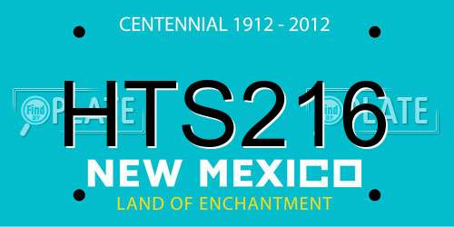 HTS216 New Mexico License Plate